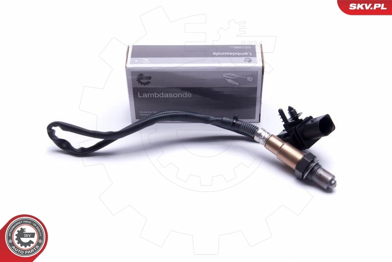Oxygen Sensor